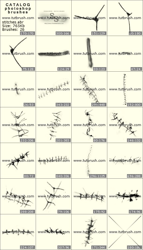 download condensed matter physics