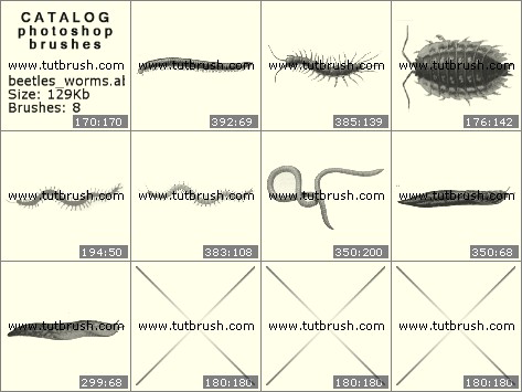 Photoshop brushes Beetles and worms