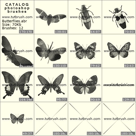Photoshop brushes Butterflies and beetles