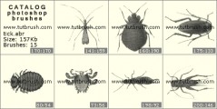 Клещи и тараканы - превью кисти фотошоп