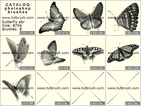 Photoshop brushes butterfly spread wings