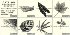 Листочки растений - превью кисти фотошоп