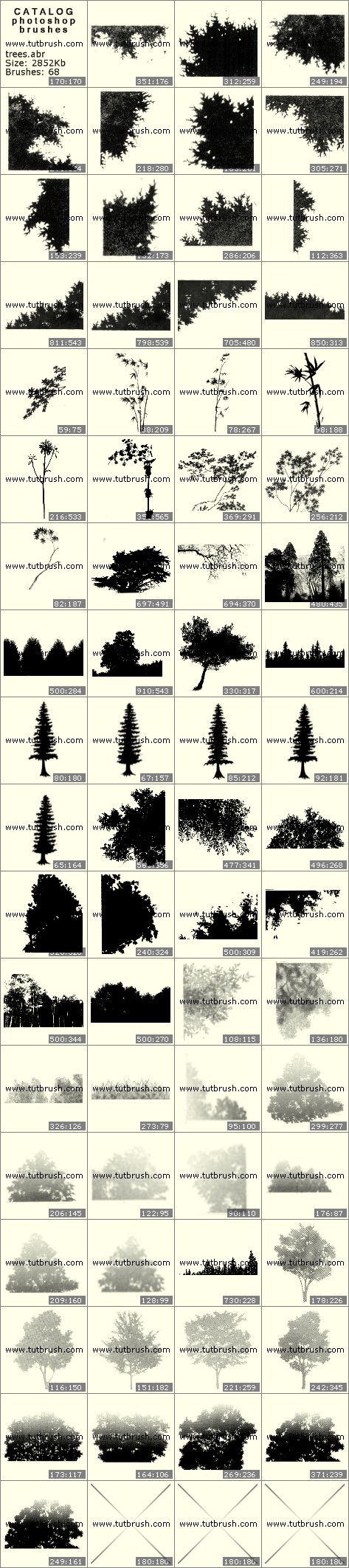 Photoshop brushes Trees