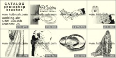 Wedding Accessories - photoshop brush preview