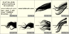 Strands Hair - photoshop brush preview