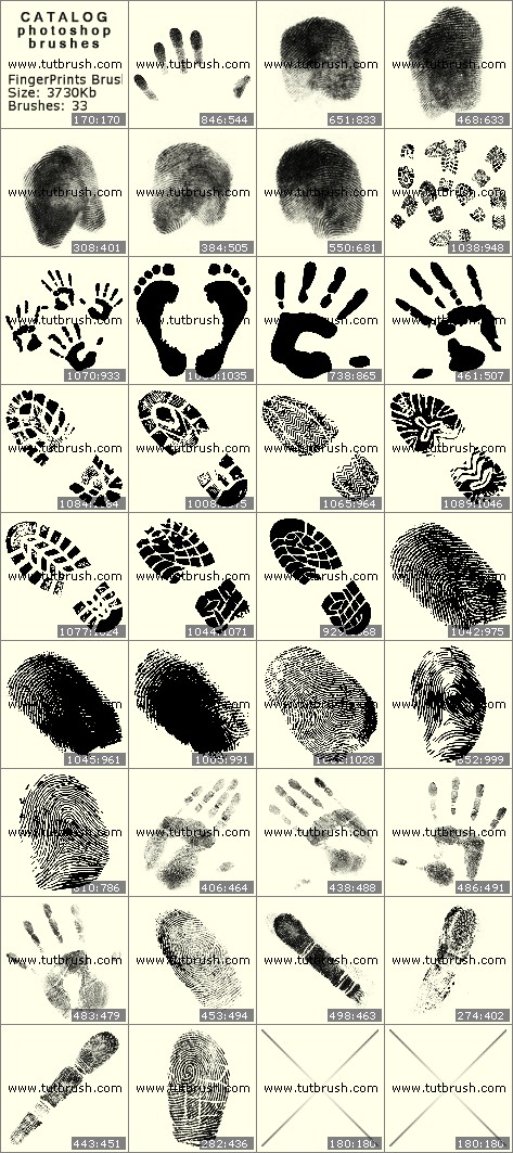 Photoshop brushes Fingerprints and feet