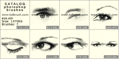 Eye and eye - photoshop brush preview