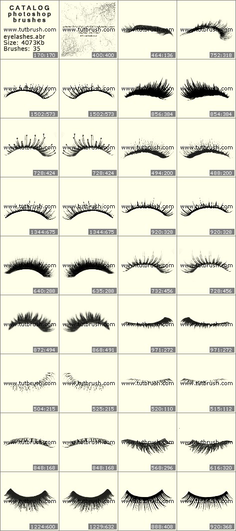 adobe photoshop eyebrow brushes free download