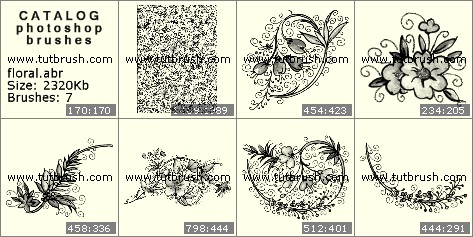 Photoshop brushes floral ornament