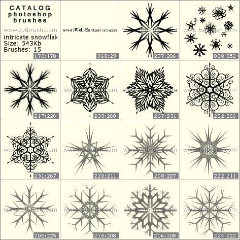Photoshop brushes intricate snowflakes