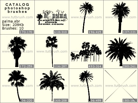 Coconut tree brushes photoshop free download adobe photoshop cs 8.0 full version download