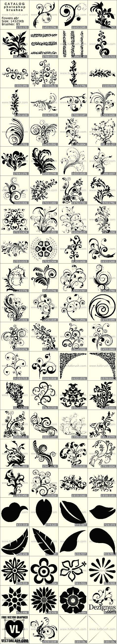 Photoshop brushes Floral patterns
