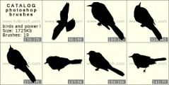 Электрические линии и птицы - превью кисти фотошоп