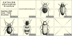 Bugs - photoshop brush preview