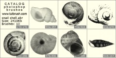 Snail Shell - photoshop brush preview