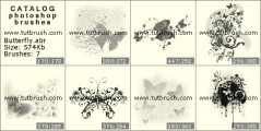 Beautiful butterflies - photoshop brush preview