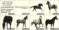 Horse racing - photoshop brush preview