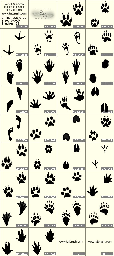 Photoshop brushes Animal Footprints