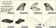 Крылья насекомых - превью кисти фотошоп