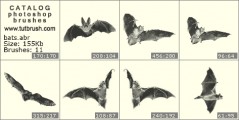 Bat - photoshop brush preview