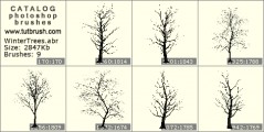 Зимние деревья - превью кисти фотошоп