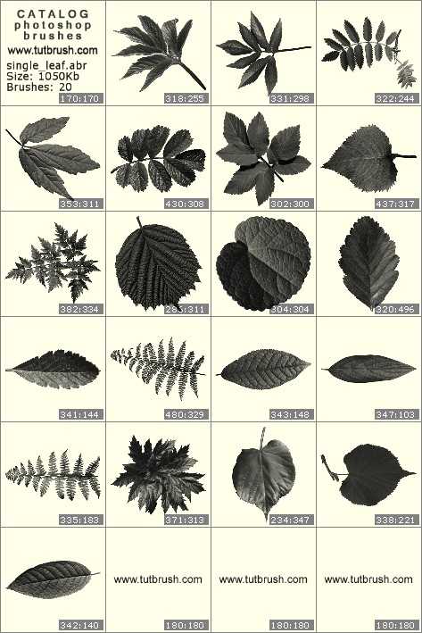 Photoshop brushes The leaves of plants and trees