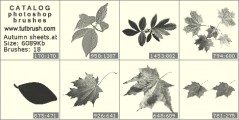 Осенние листья - превью кисти фотошоп