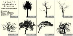 Тропические деревья - превью кисти фотошоп