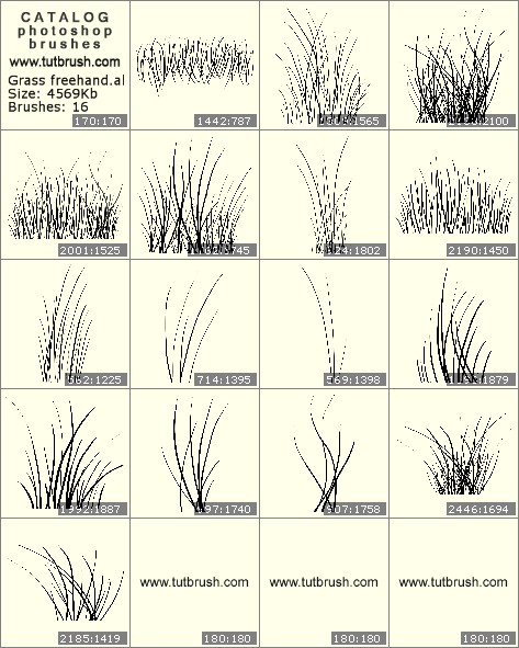 Photoshop brushes grass freehand