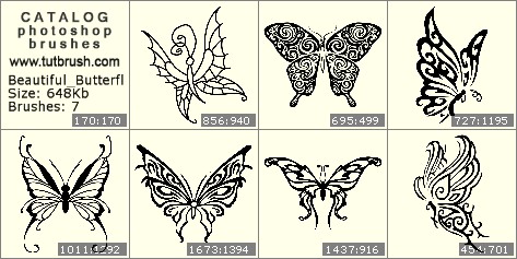 Photoshop brushes beautiful butterfly