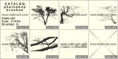 Дерево без листьев - превью кисти фотошоп