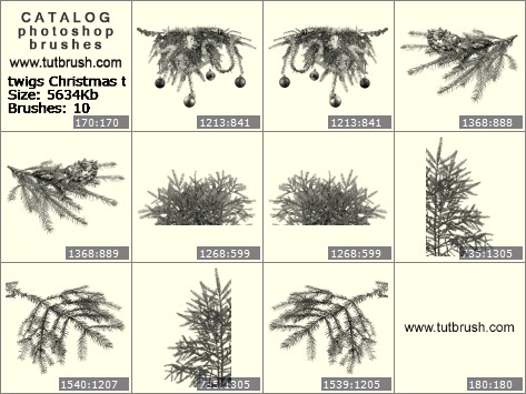 Photoshop brushes Twigs Christmas trees