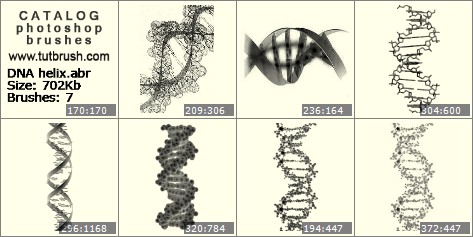 Photoshop brushes DNA helix