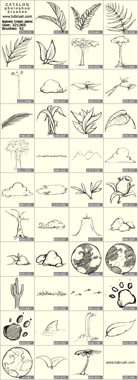 Photoshop brushes leaves with a pencil