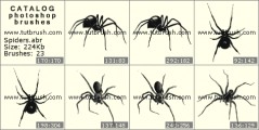 Павуки - прев`ю кисті фотошоп